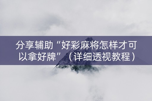 分享辅助“好彩麻将怎样才可以拿好牌”（详细透视教程）-哔哩哔哩