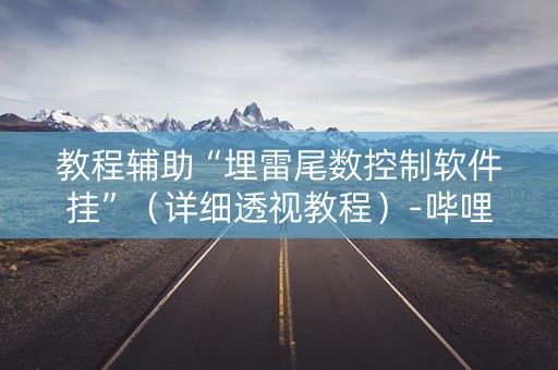 教程辅助“埋雷尾数控制软件挂”（详细透视教程）-哔哩哔哩