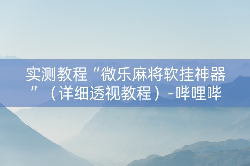 实测教程“微乐麻将软挂神器”（详细透视教程）-哔哩哔哩