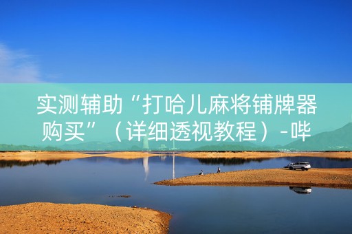 实测辅助“打哈儿麻将铺牌器购买”（详细透视教程）-哔哩哔哩