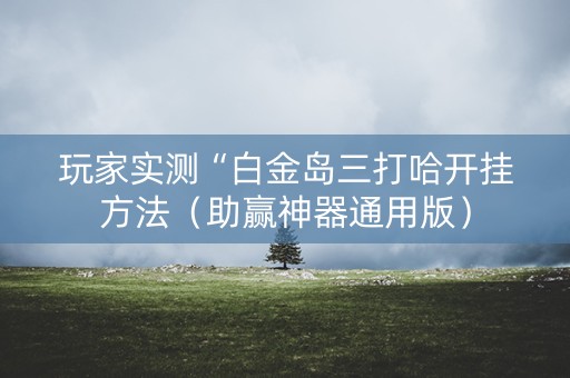 玩家实测“白金岛三打哈开挂方法（助赢神器通用版）
