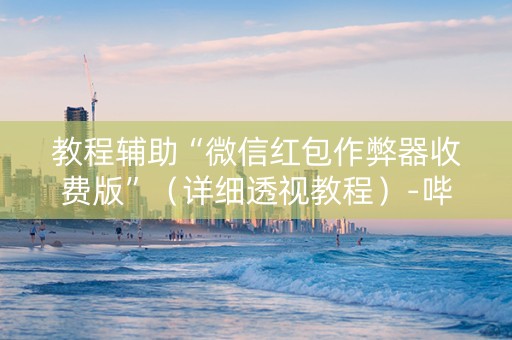 教程辅助“微信红包作弊器收费版”（详细透视教程）-哔哩哔哩