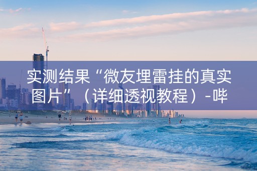 实测结果“微友埋雷挂的真实图片”（详细透视教程）-哔哩哔哩
