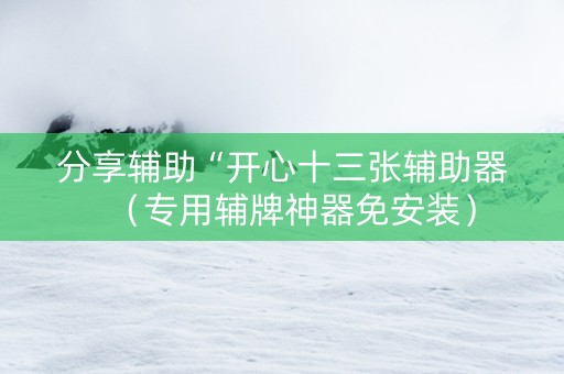 分享辅助“开心十三张辅助器（专用辅牌神器免安装）