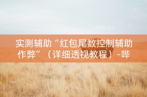 实测辅助“红包尾数控制辅助作弊”（详细透视教程）-哔哩哔哩