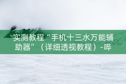实测教程“手机十三水万能辅助器”（详细透视教程）-哔哩哔哩
