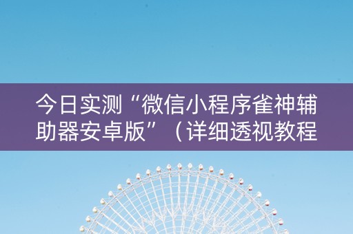 今日实测“微信小程序雀神辅助器安卓版”（详细透视教程）-哔哩哔哩