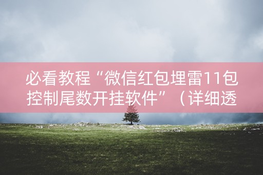 必看教程“微信红包埋雷11包控制尾数开挂软件”（详细透视教程）-哔哩哔哩