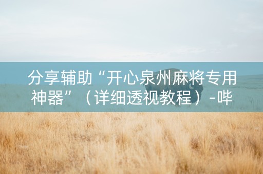分享辅助“开心泉州麻将专用神器”（详细透视教程）-哔哩哔哩