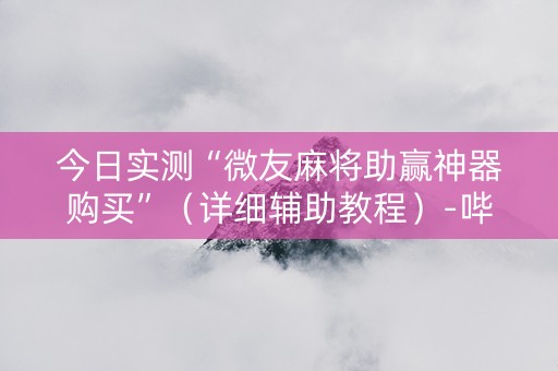 今日实测“微友麻将助赢神器购买”（详细辅助教程）-哔哩哔哩