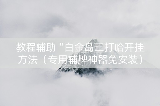 教程辅助“白金岛三打哈开挂方法（专用辅牌神器免安装）