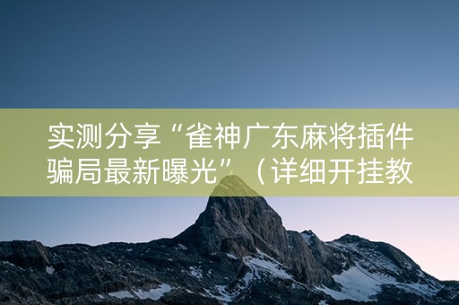 实测分享“雀神广东麻将插件骗局最新曝光”（详细开挂教程）-哔哩哔哩