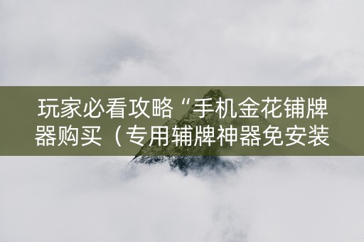 玩家必看攻略“手机金花铺牌器购买（专用辅牌神器免安装）