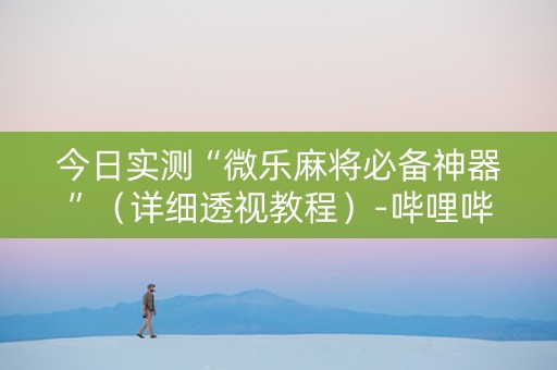 今日实测“微乐麻将必备神器”（详细透视教程）-哔哩哔哩