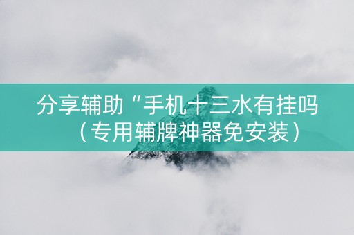 分享辅助“手机十三水有挂吗（专用辅牌神器免安装）