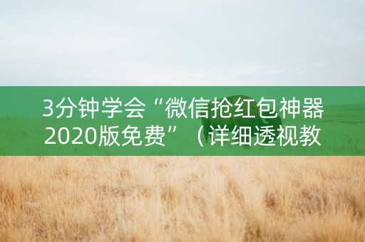 3分钟学会“微信抢红包神器2020版免费”（详细透视教程）-哔哩哔哩