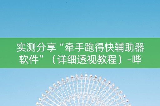 实测分享“牵手跑得快辅助器软件”（详细透视教程）-哔哩哔哩