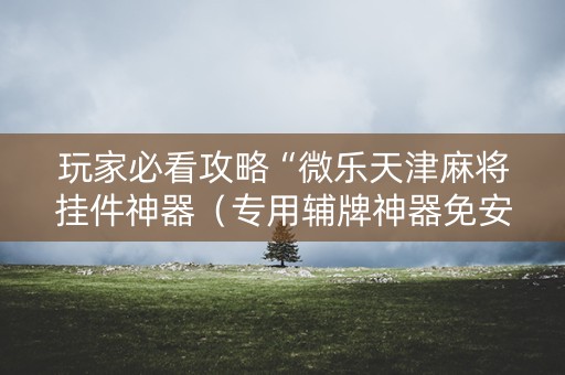 玩家必看攻略“微乐天津麻将挂件神器（专用辅牌神器免安装）