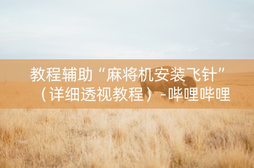 教程辅助“麻将机安装飞针”（详细透视教程）-哔哩哔哩