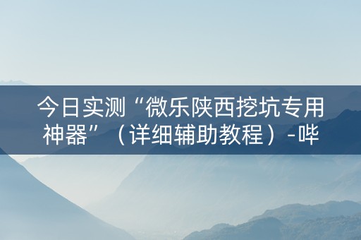 今日实测“微乐陕西挖坑专用神器”（详细辅助教程）-哔哩哔哩