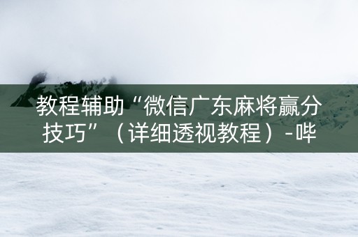 教程辅助“微信广东麻将赢分技巧”（详细透视教程）-哔哩哔哩