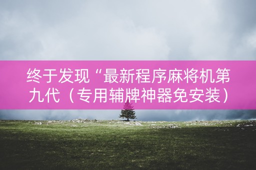 终于发现“最新程序麻将机第九代（专用辅牌神器免安装）