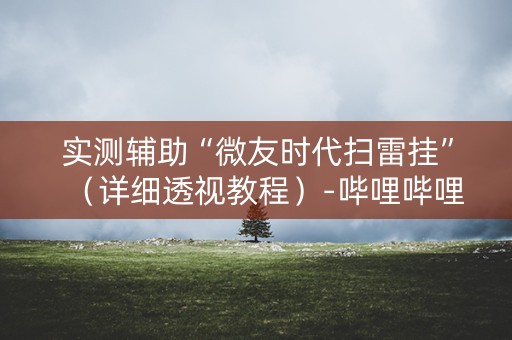 实测辅助“微友时代扫雷挂”（详细透视教程）-哔哩哔哩