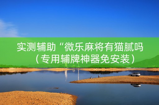 实测辅助“微乐麻将有猫腻吗（专用辅牌神器免安装）