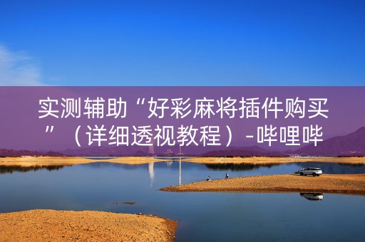 实测辅助“好彩麻将插件购买”（详细透视教程）-哔哩哔哩