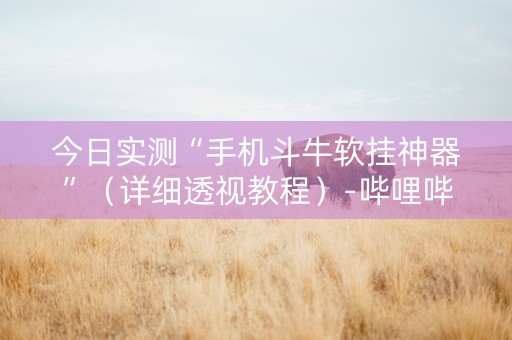 今日实测“手机斗牛软挂神器”（详细透视教程）-哔哩哔哩