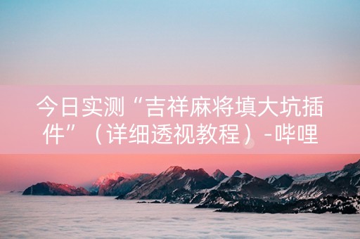 今日实测“吉祥麻将填大坑插件”（详细透视教程）-哔哩哔哩