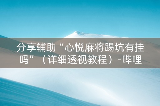 分享辅助“心悦麻将踢坑有挂吗”（详细透视教程）-哔哩哔哩