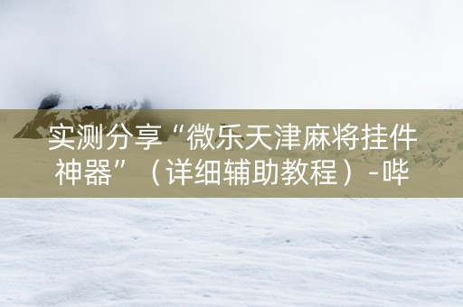 实测分享“微乐天津麻将挂件神器”（详细辅助教程）-哔哩哔哩