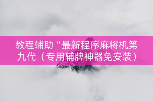 教程辅助“最新程序麻将机第九代（专用辅牌神器免安装）