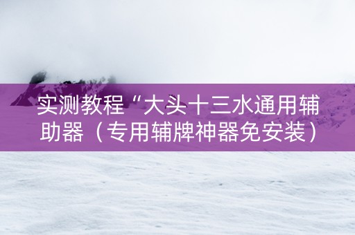 实测教程“大头十三水通用辅助器（专用辅牌神器免安装）