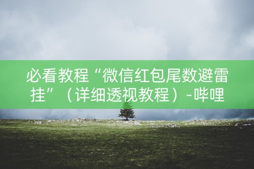 必看教程“微信红包尾数避雷挂”（详细透视教程）-哔哩哔哩