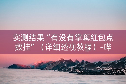 实测结果“有没有掌嗨红包点数挂”（详细透视教程）-哔哩哔哩