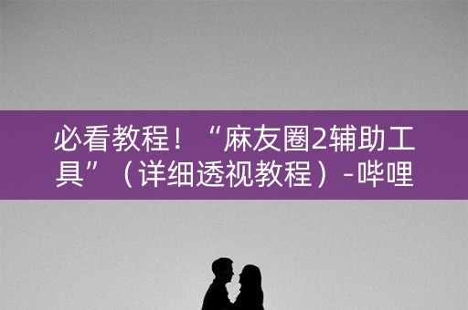 必看教程！“麻友圈2辅助工具”（详细透视教程）-哔哩哔哩