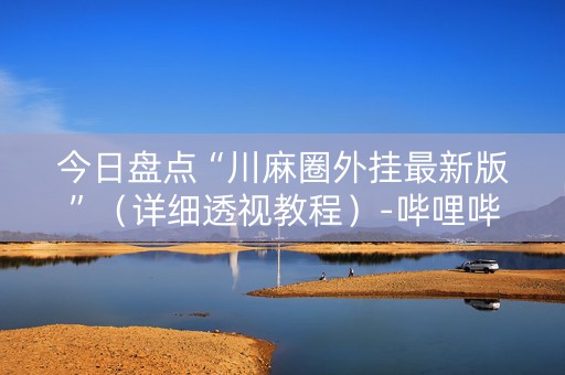 今日盘点“川麻圈外挂最新版”（详细透视教程）-哔哩哔哩