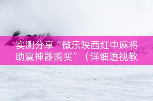 实测分享“微乐陕西红中麻将助赢神器购买”（详细透视教程）-哔哩哔哩
