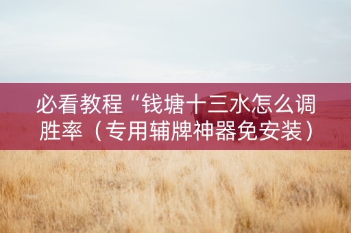 必看教程“钱塘十三水怎么调胜率（专用辅牌神器免安装）