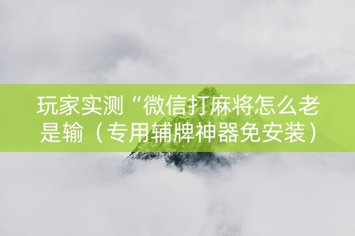 玩家实测“微信打麻将怎么老是输（专用辅牌神器免安装）