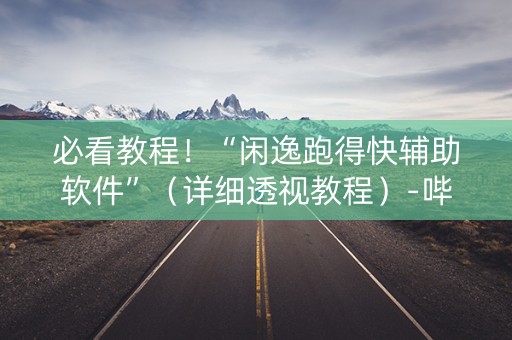 必看教程！“闲逸跑得快辅助软件”（详细透视教程）-哔哩哔哩