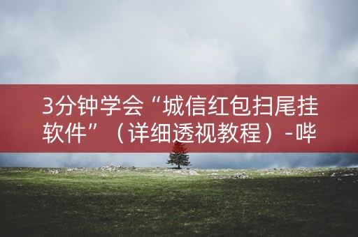 3分钟学会“城信红包扫尾挂软件”（详细透视教程）-哔哩哔哩