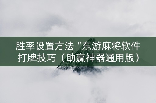 胜率设置方法“东游麻将软件打牌技巧（助赢神器通用版）