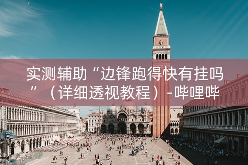 实测辅助“边锋跑得快有挂吗”（详细透视教程）-哔哩哔哩