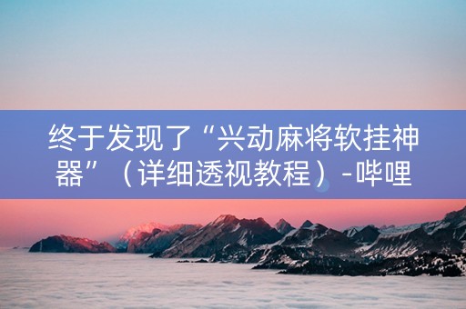 终于发现了“兴动麻将软挂神器”（详细透视教程）-哔哩哔哩