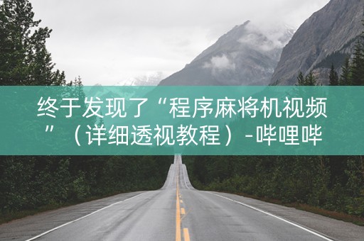 终于发现了“程序麻将机视频”（详细透视教程）-哔哩哔哩