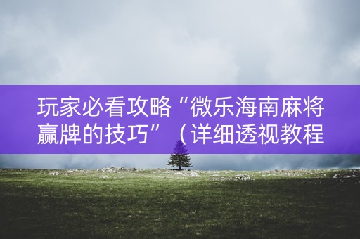玩家必看攻略“微乐海南麻将赢牌的技巧”（详细透视教程）-哔哩哔哩