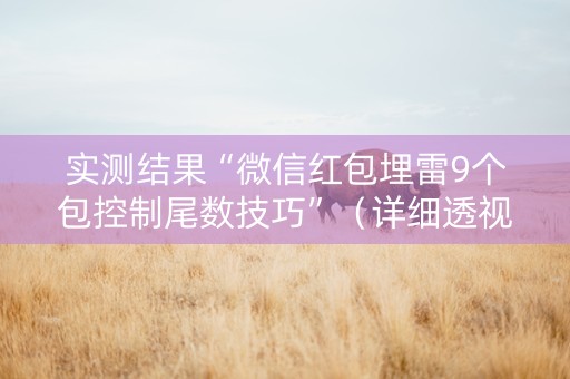 实测结果“微信红包埋雷9个包控制尾数技巧”（详细透视教程）-哔哩哔哩